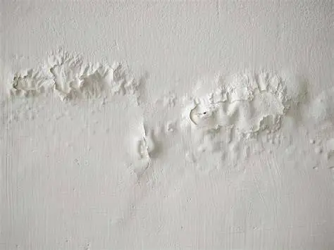 Causes of Paint Failure