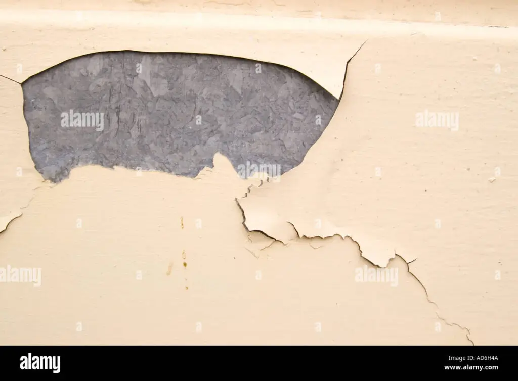 Causes of Paint Failure